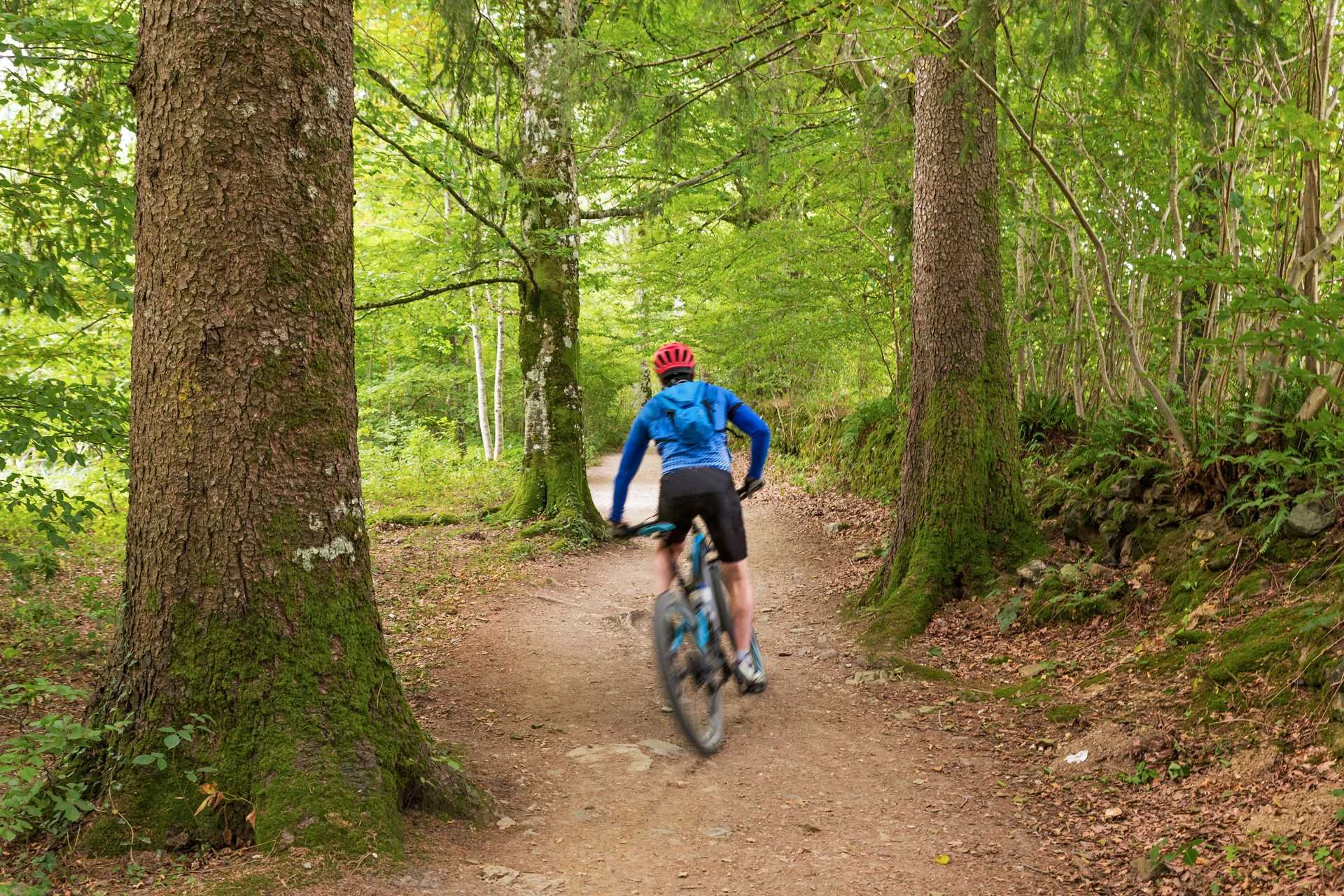 Photo d'un homme qui fait du VTT en forêt