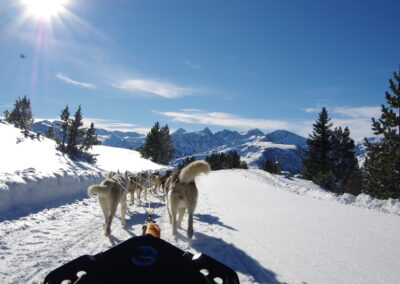 Photo pour illustrer une sortie en chien de traineau